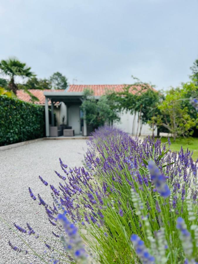 Bed and Breakfast O'Pintxo Onesse-et-Laharie Экстерьер фото